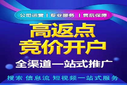 百度内容营销推广的多样化策略